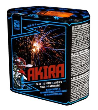 Profi-Feuerwerk,Batteriefeuerwerk, Sivesterfeuerwerk